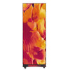 P 2.5 Outdoor Floor Stand LED